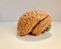 Même si votre cerveau est préoccupé par le négatif